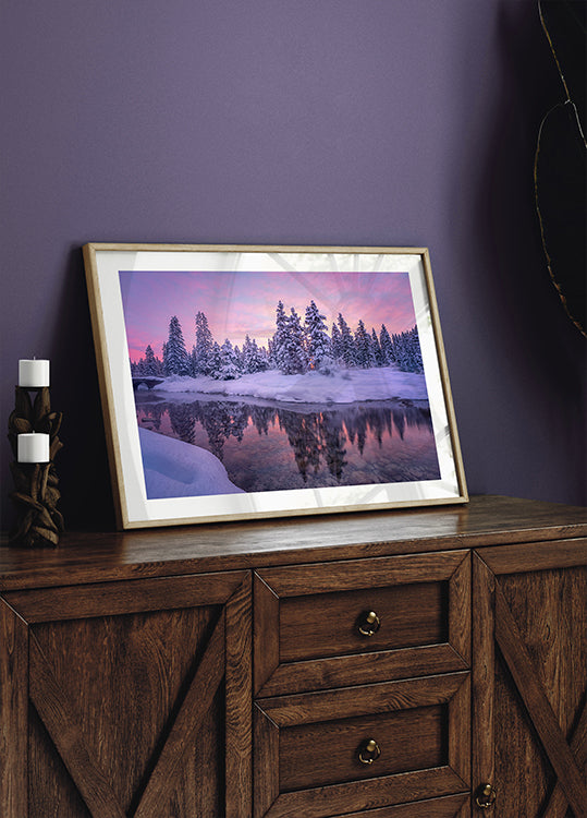 Forest Morning Poster