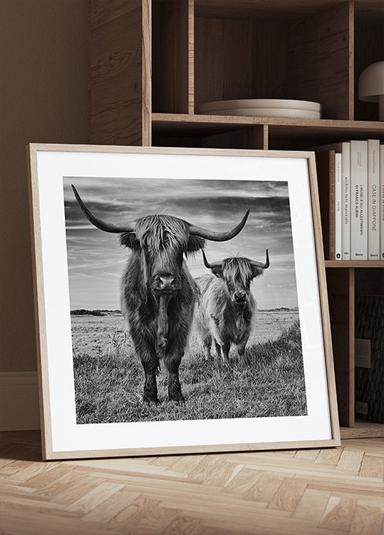 Highlands Poster