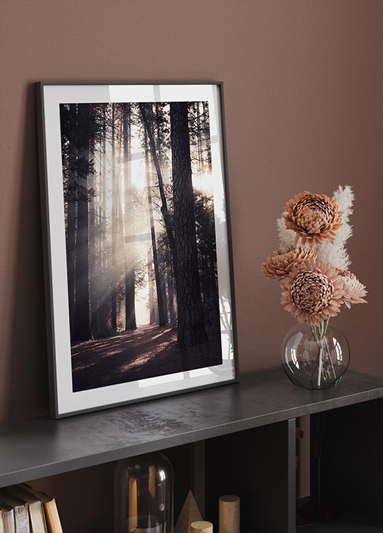 Yosemite Valley Poster