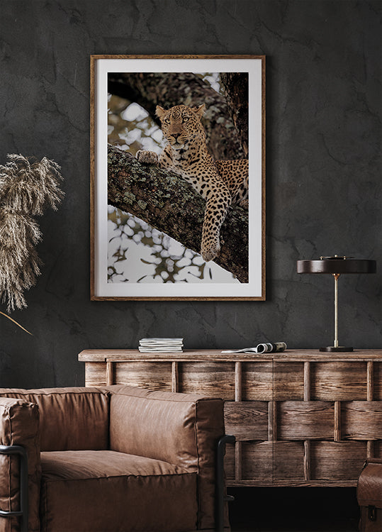 Majestic Leopard on a Tree Branch Poster