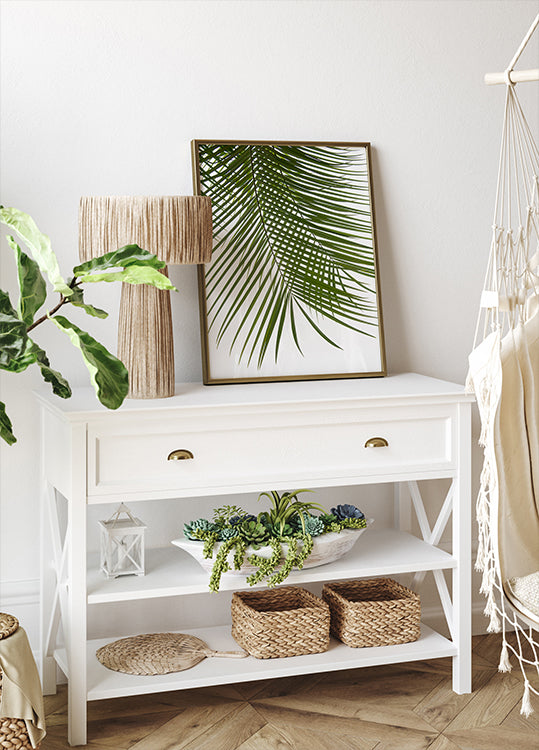 Palm Leaves Foliage Photo IV