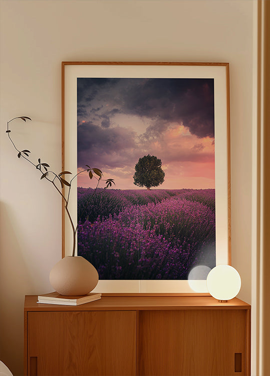 Lavender Fields, Isparta
