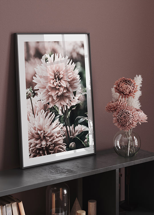 Soft Dahlia Bloom Poster