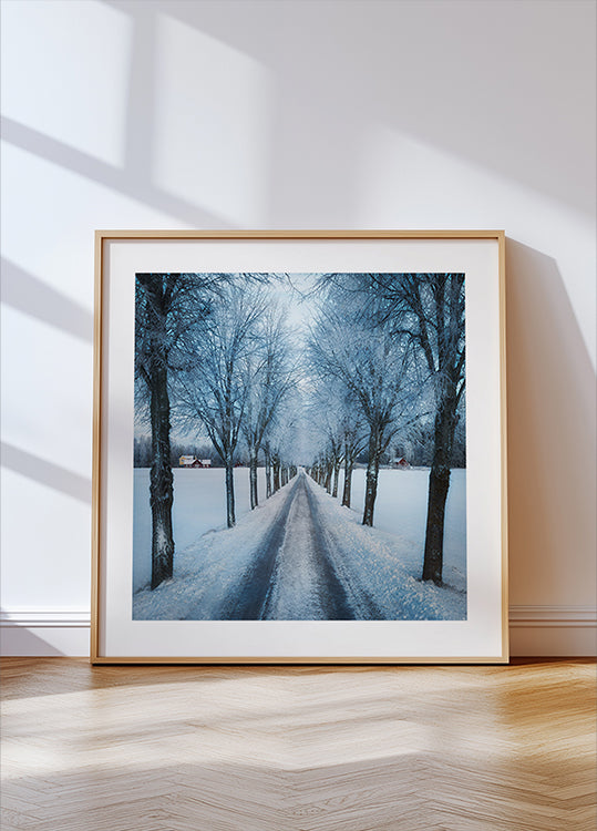 Swedish winter Poster