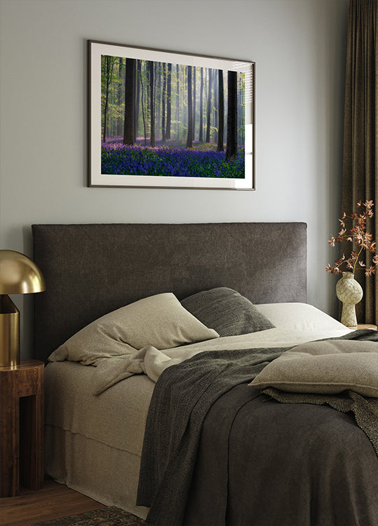 Bluebells Poster
