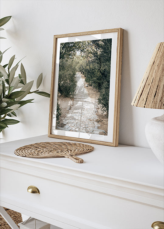 Olive Tree Garden Poster