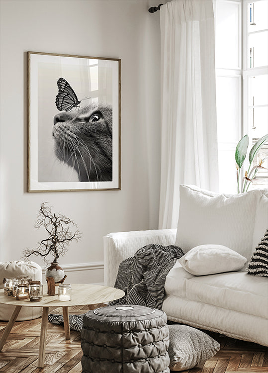 Butterfly Cat Poster