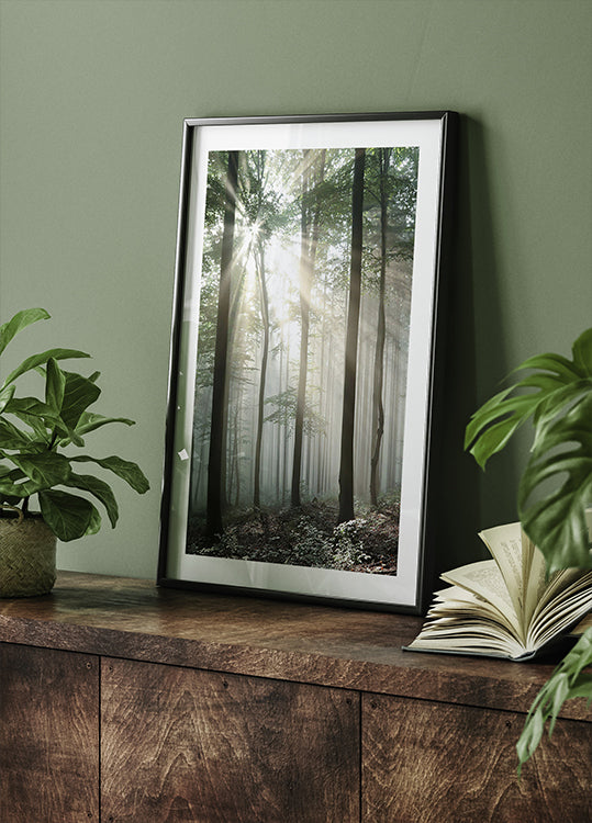 Light Through Trees Poster
