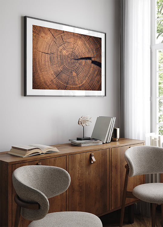 Rings of Time: A Tree’s Life Story Poster