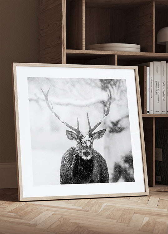 Male deer in heavy snow Poster