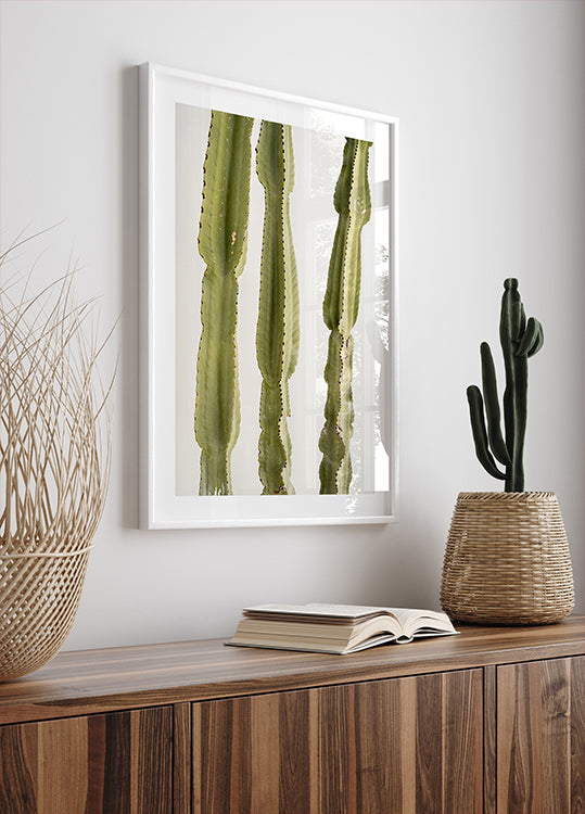 3 Cacti Poster