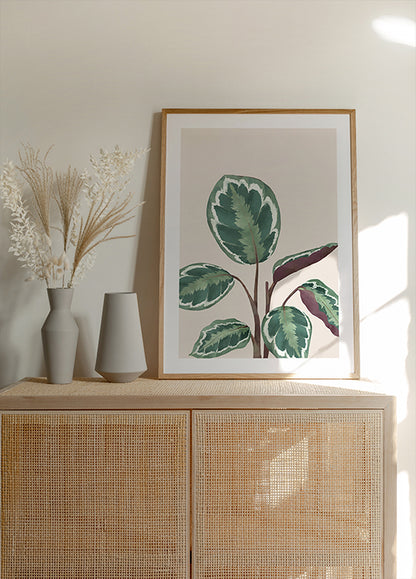 Variegated Green and Purple Plant Poster