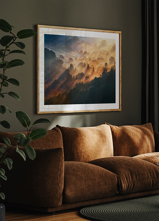 Morning Light Poster