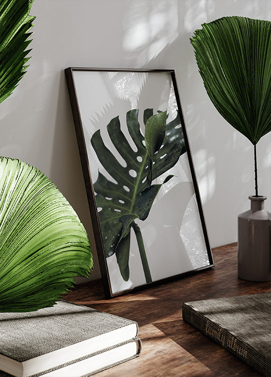 Monstera-plante №1 Poster