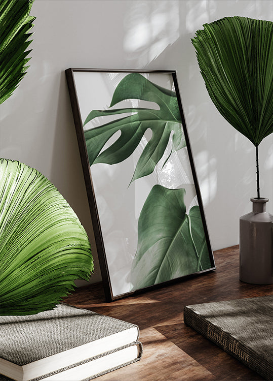 Monstera Plant Poster