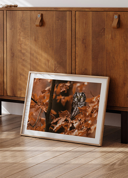 Little Owl in the Autumn Poster