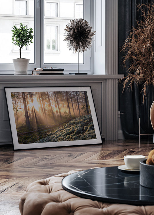 Fog in the forest with white moss in the forground Poster