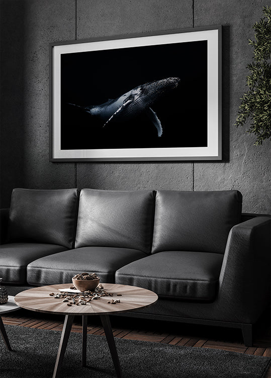 Black &amp; Whale Poster