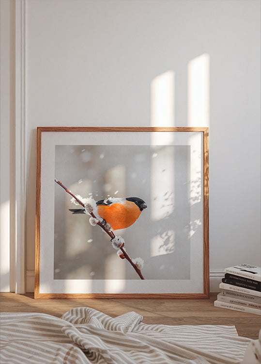 Bullfinch in a snowstorm Poster