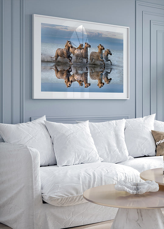 Horses and reflection