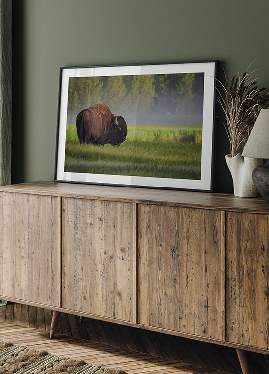 Bison in Morning Light Poster