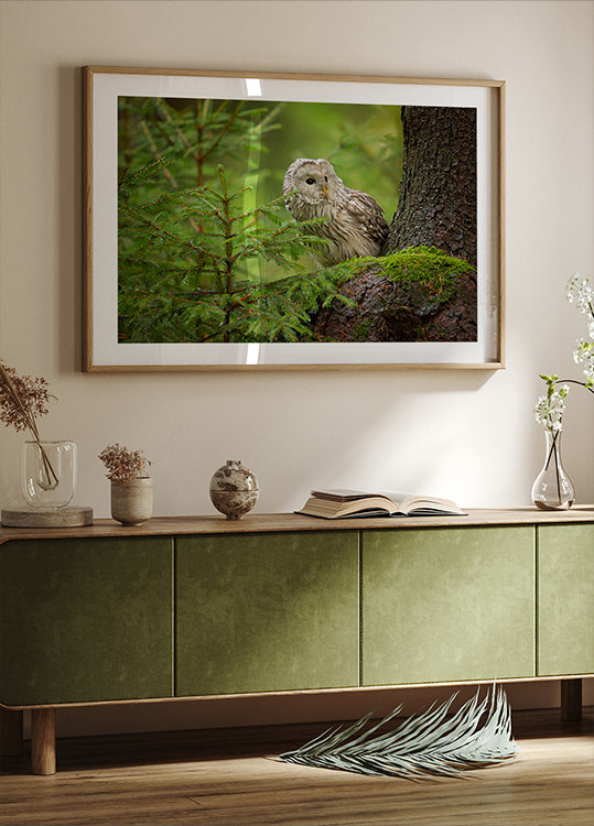 Ural Owl Poster