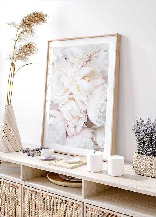 White Peonies, Soft Romantic Floral Close-up Poster