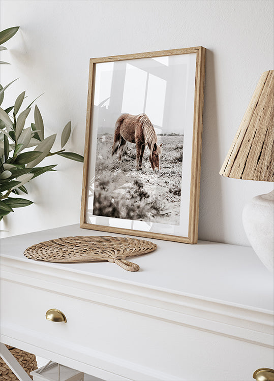 Wild Horse in Serene Landscape Nature Poster