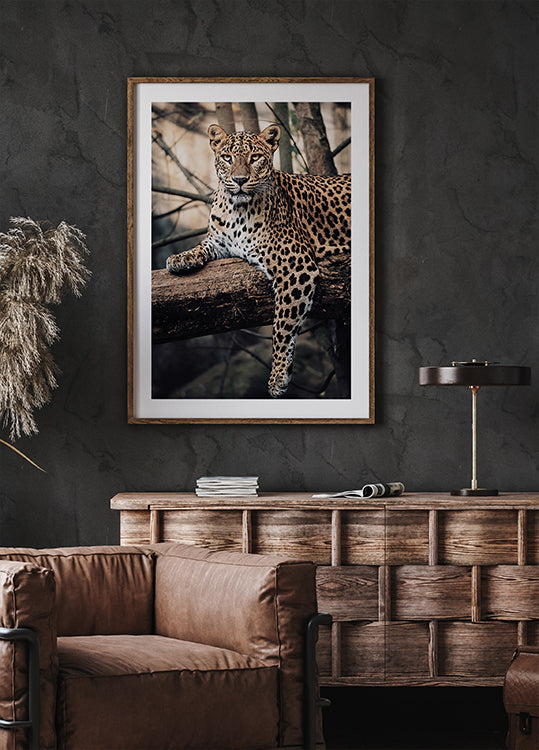 Majestic Leopard Resting on a Tree Poster