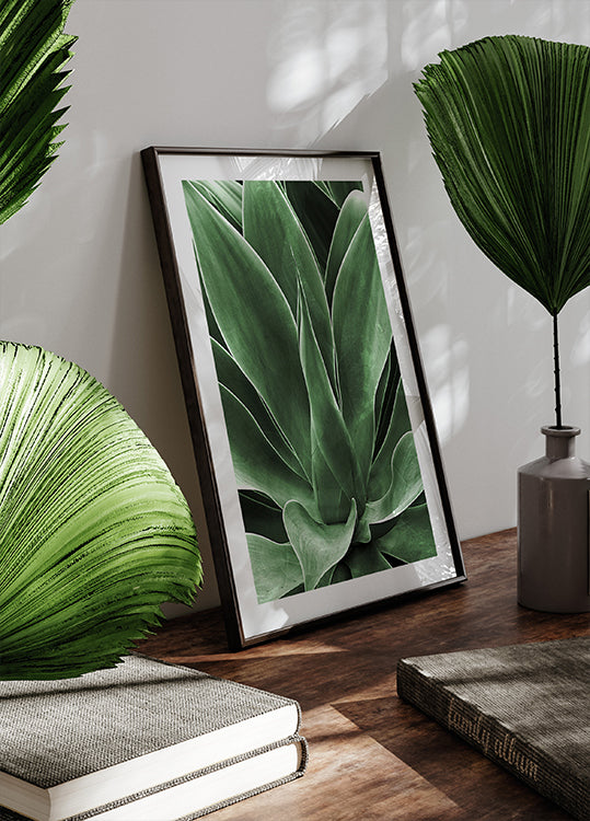 Green Agave Leaves Poster