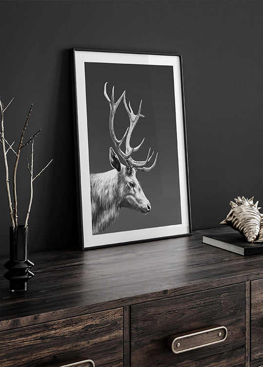 Reindeer  Poster