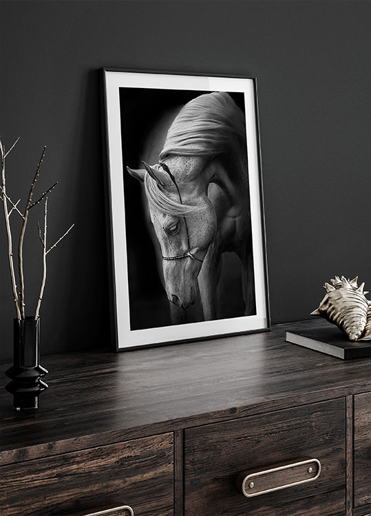 white stallion Poster