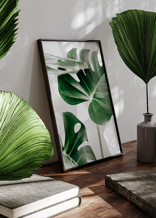 Monstera Leaves Poster