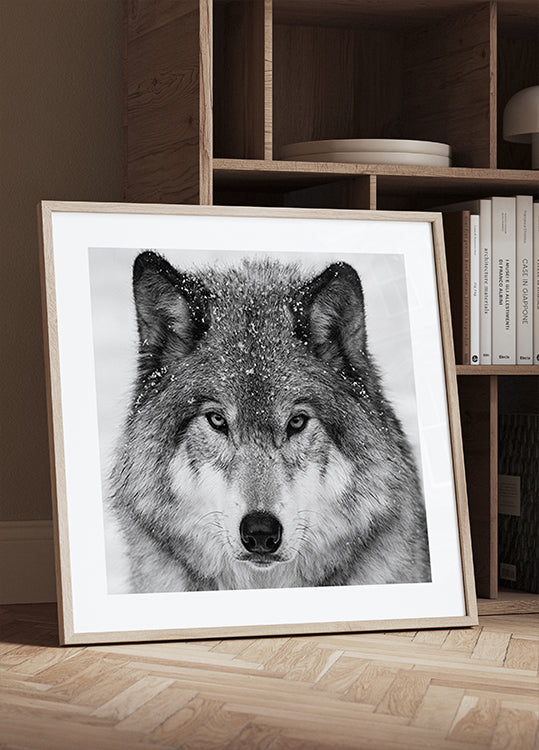 Wolf Portrait Poster