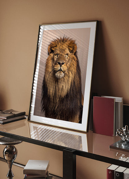 Majestic Lion Poster