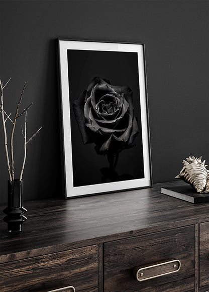 Black Rose Poster