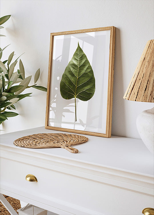 Leaf's Intricate Veins Poster