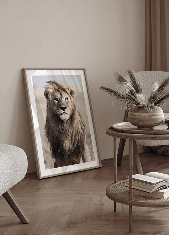 Majestic Lion Poster