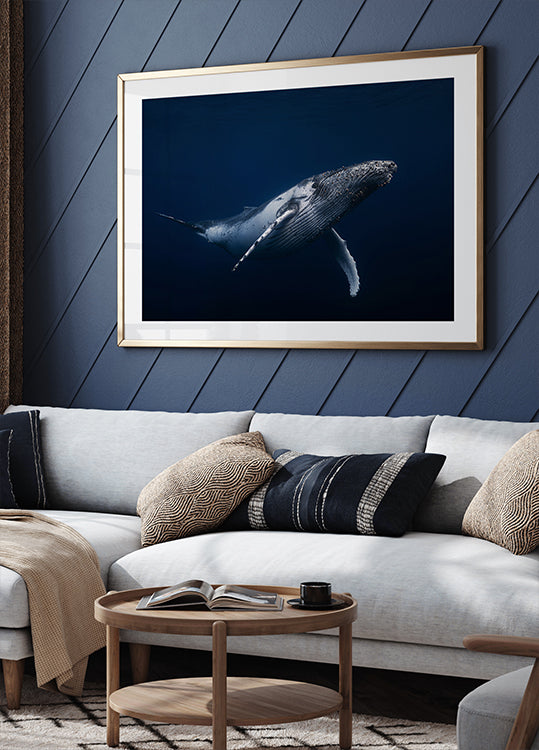 Humpback whale in blue Poster