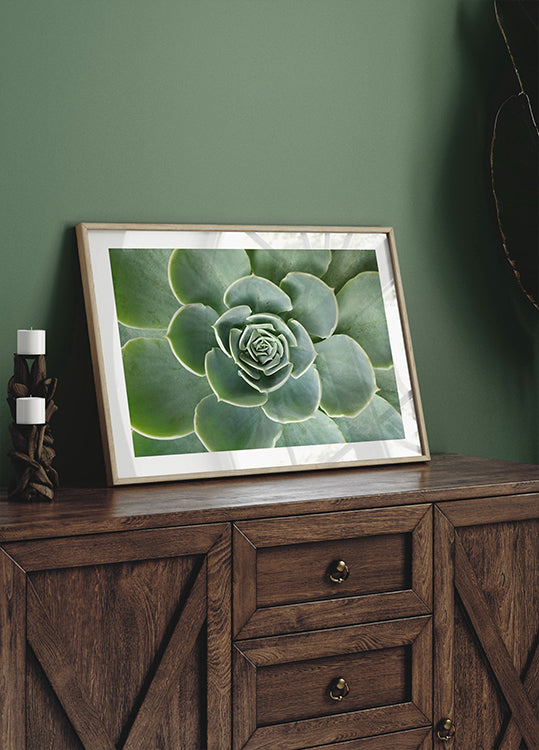 Succulent Spiral Poster