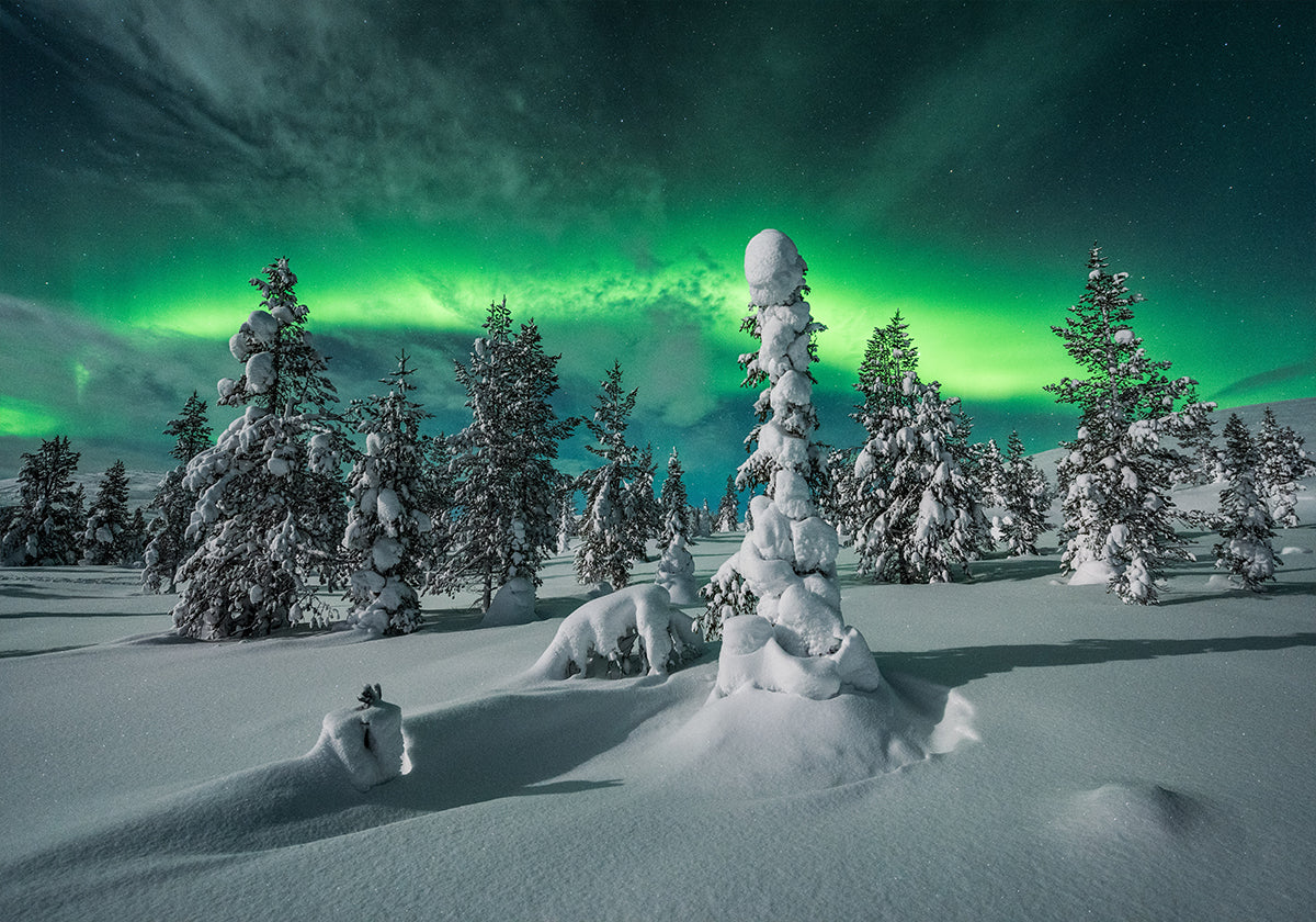 polar night