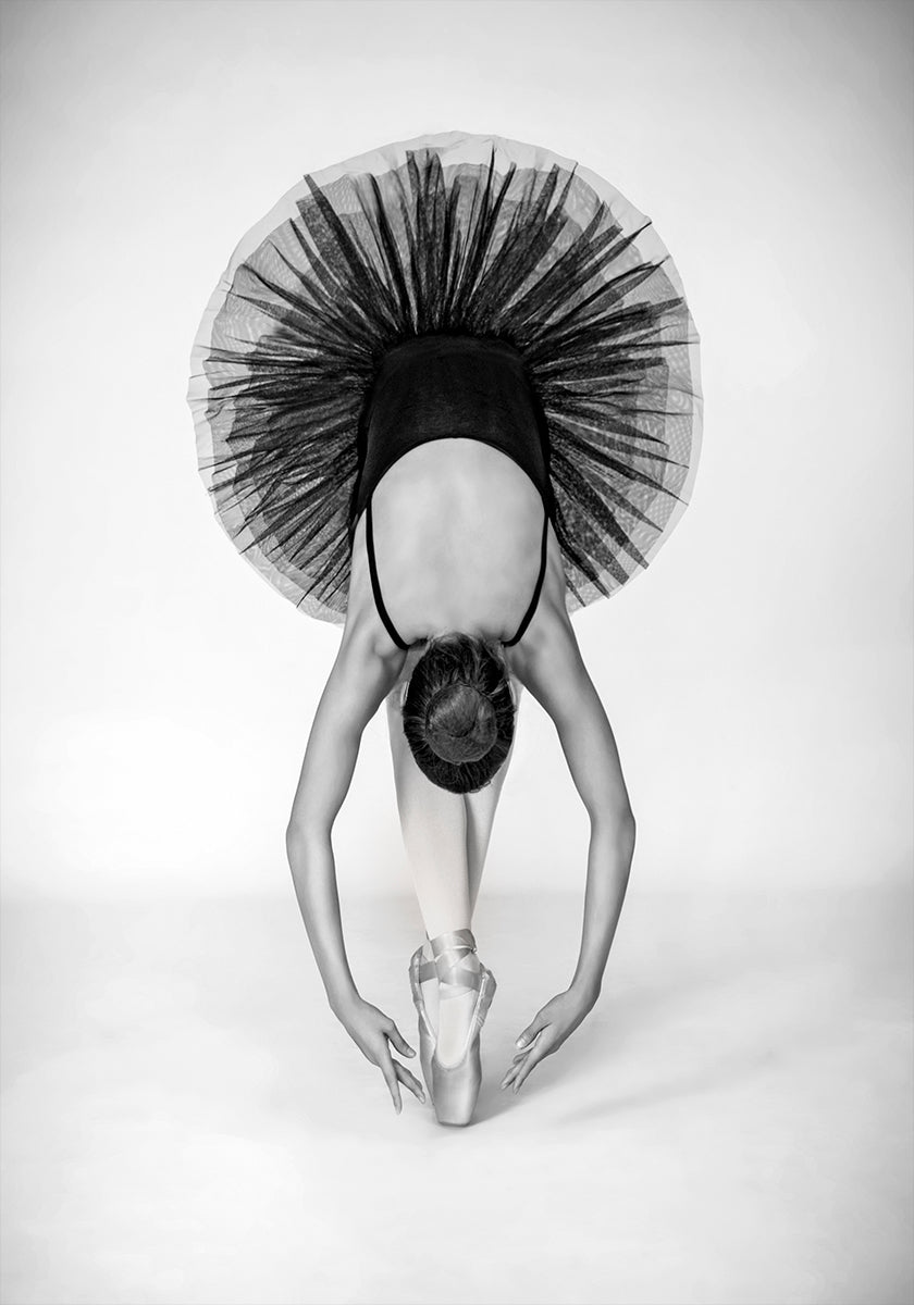 Ballet Technique Poster
