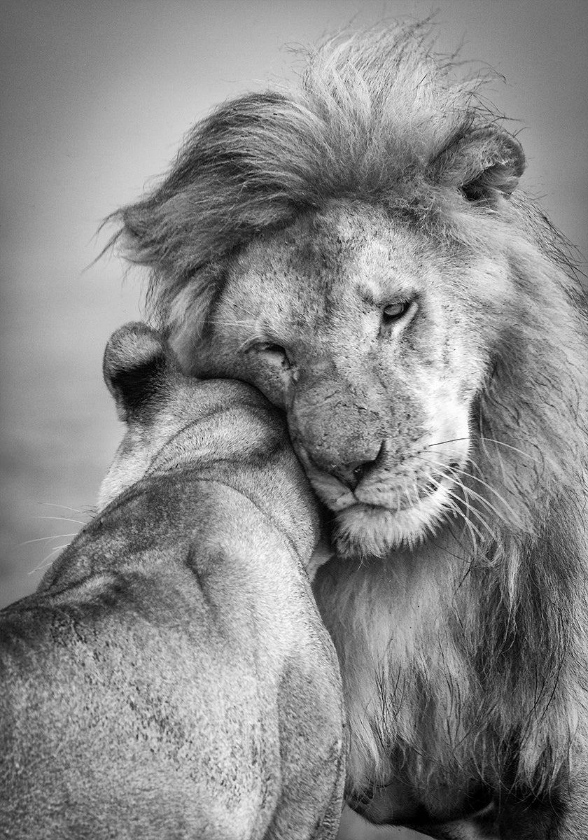 African Love!
