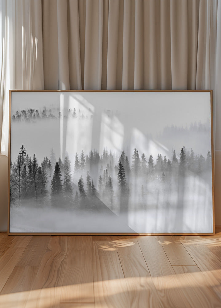 Foggy Forest Poster