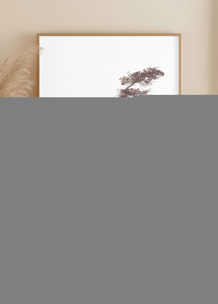 Sculptral Pines Poster