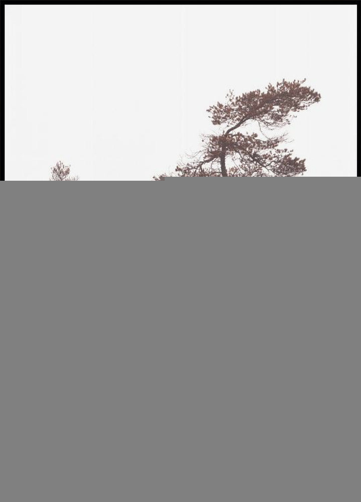 Sculptral Pines Poster