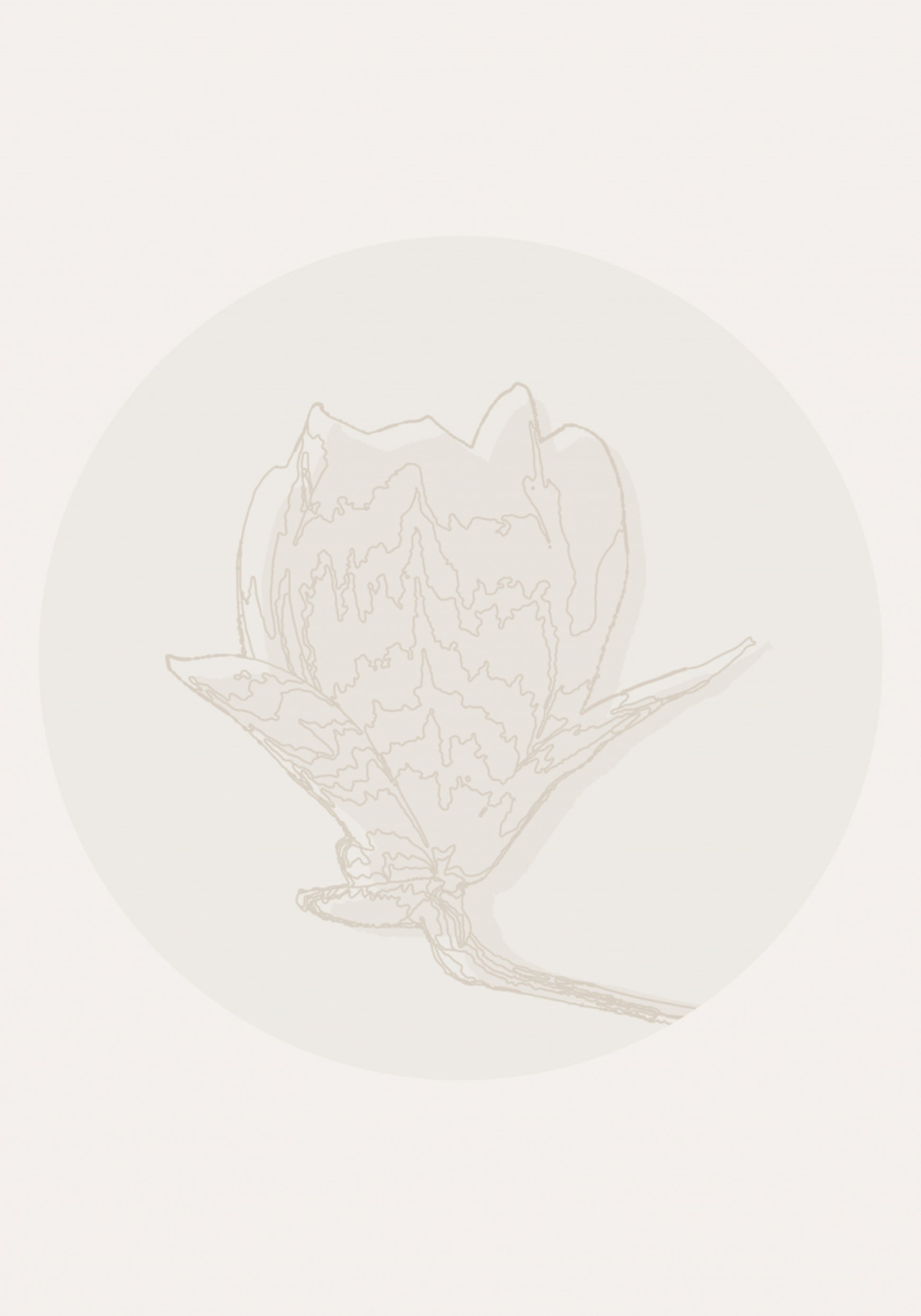 Delicate Floral Outline