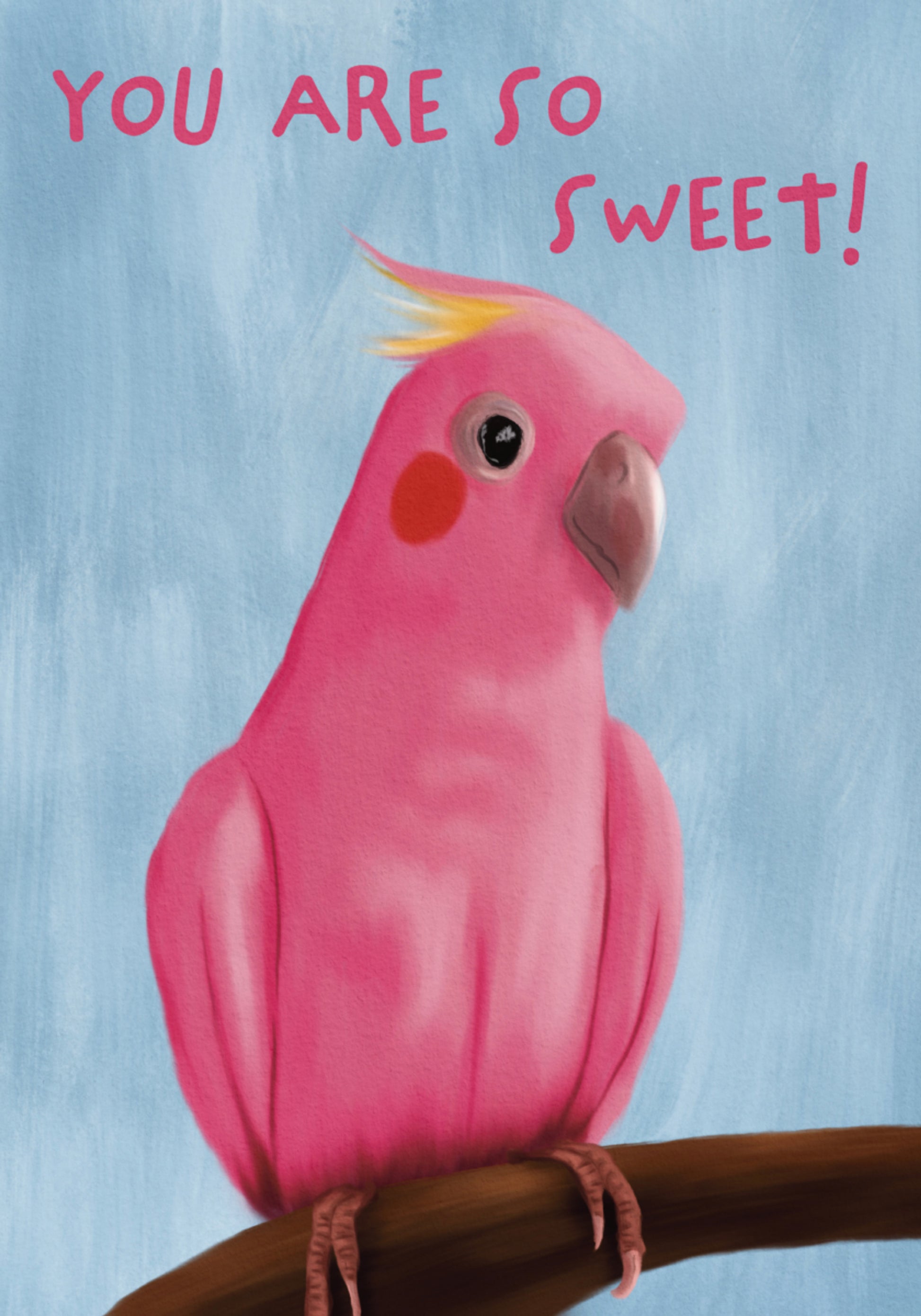 Sweet Pink Galah