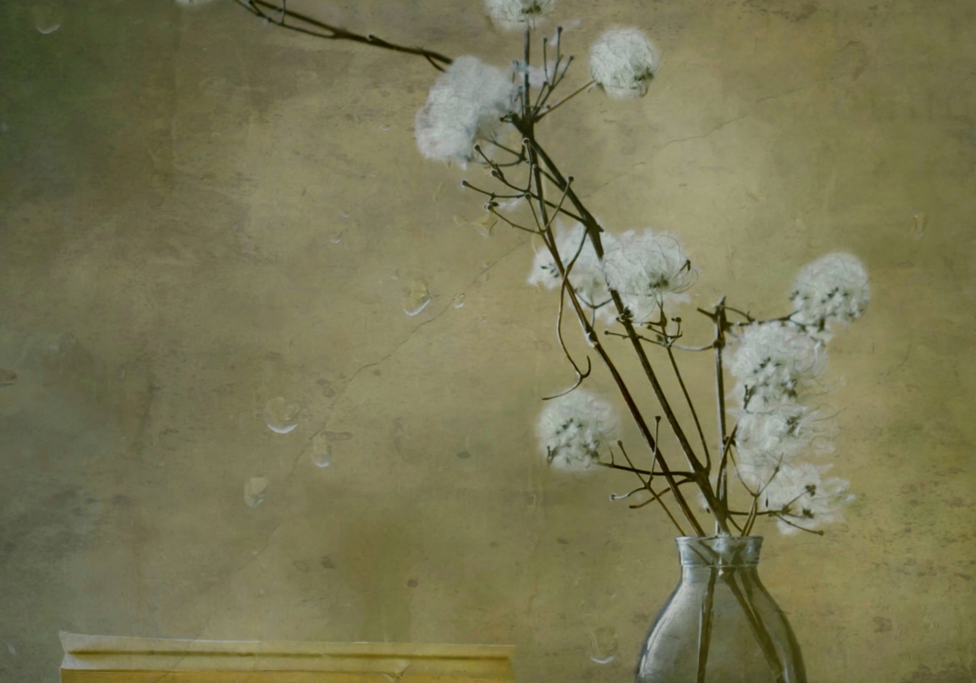 Serene Fluffy Flowers