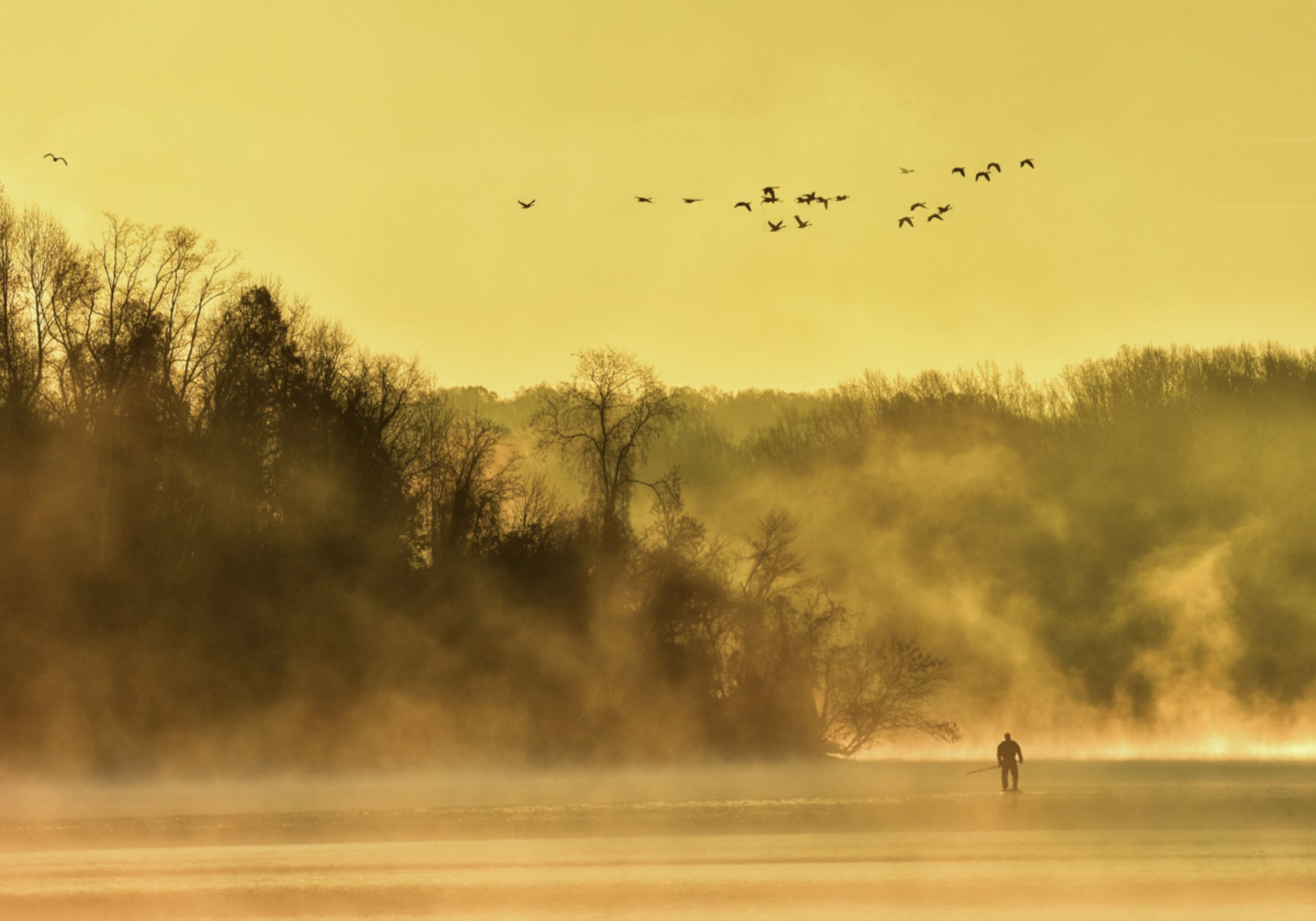 Golden Mist Lone Figure